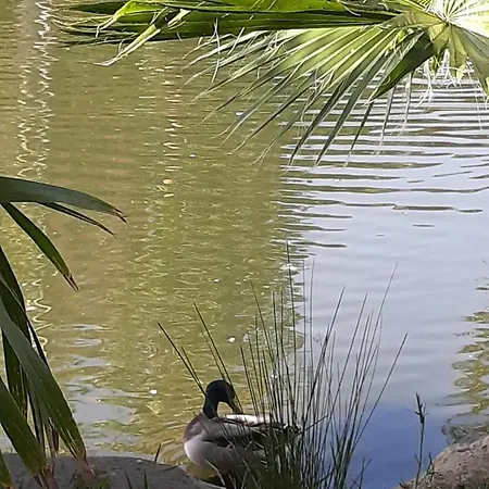 Apartman Front De Golfe De Saint-tropez