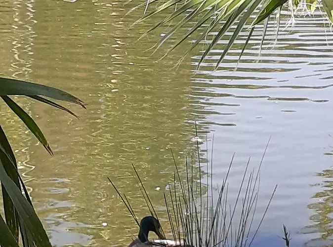 아파트 Front De Golfe De Saint-tropez